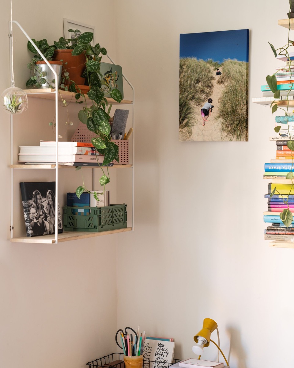 Wall shelves with books, plants, and a desk